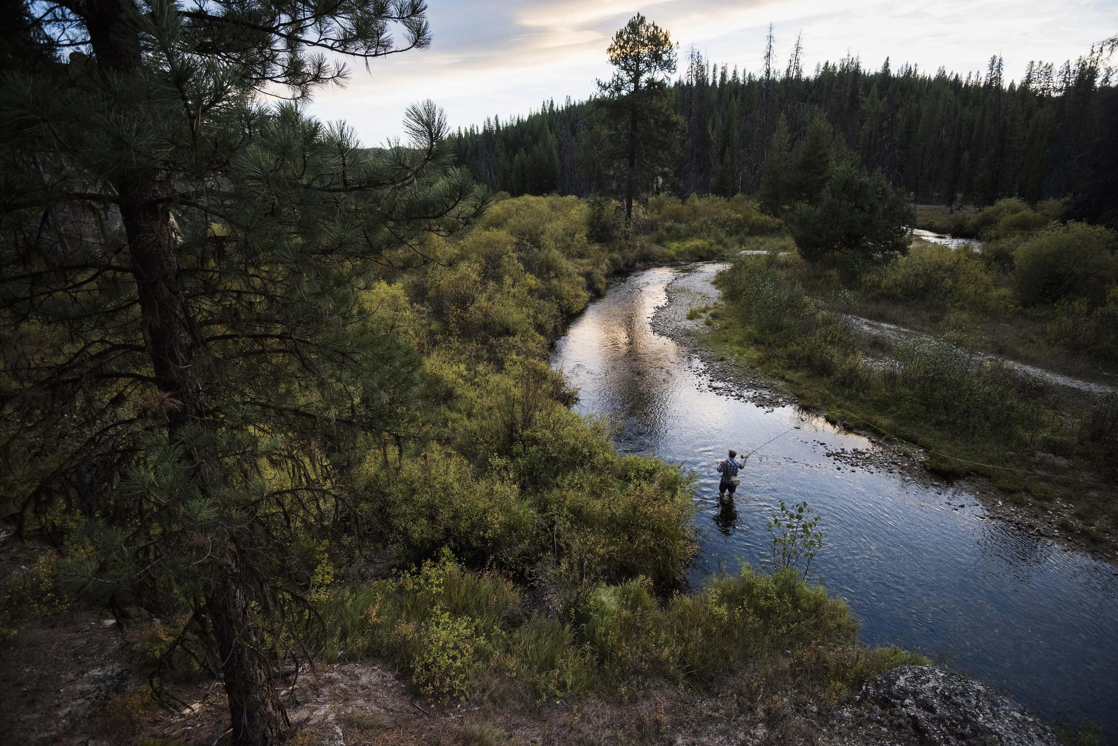 California Fly Fishing in March: Spring Conditions and Early Season Opportunities