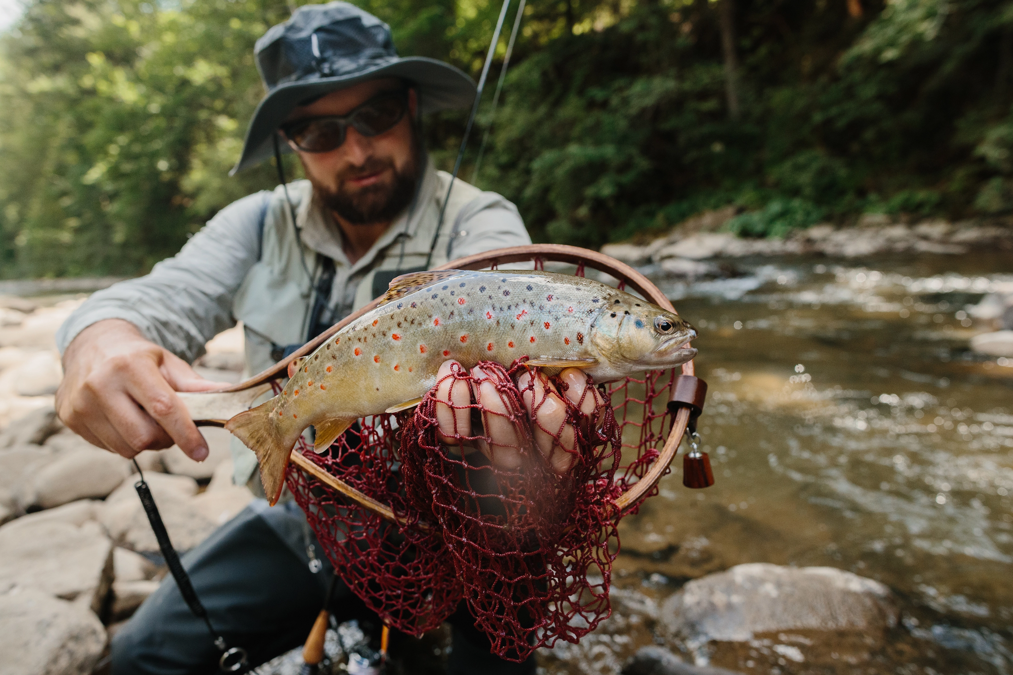 January Fly Fishing in California: Winter Opportunities in the Golden State