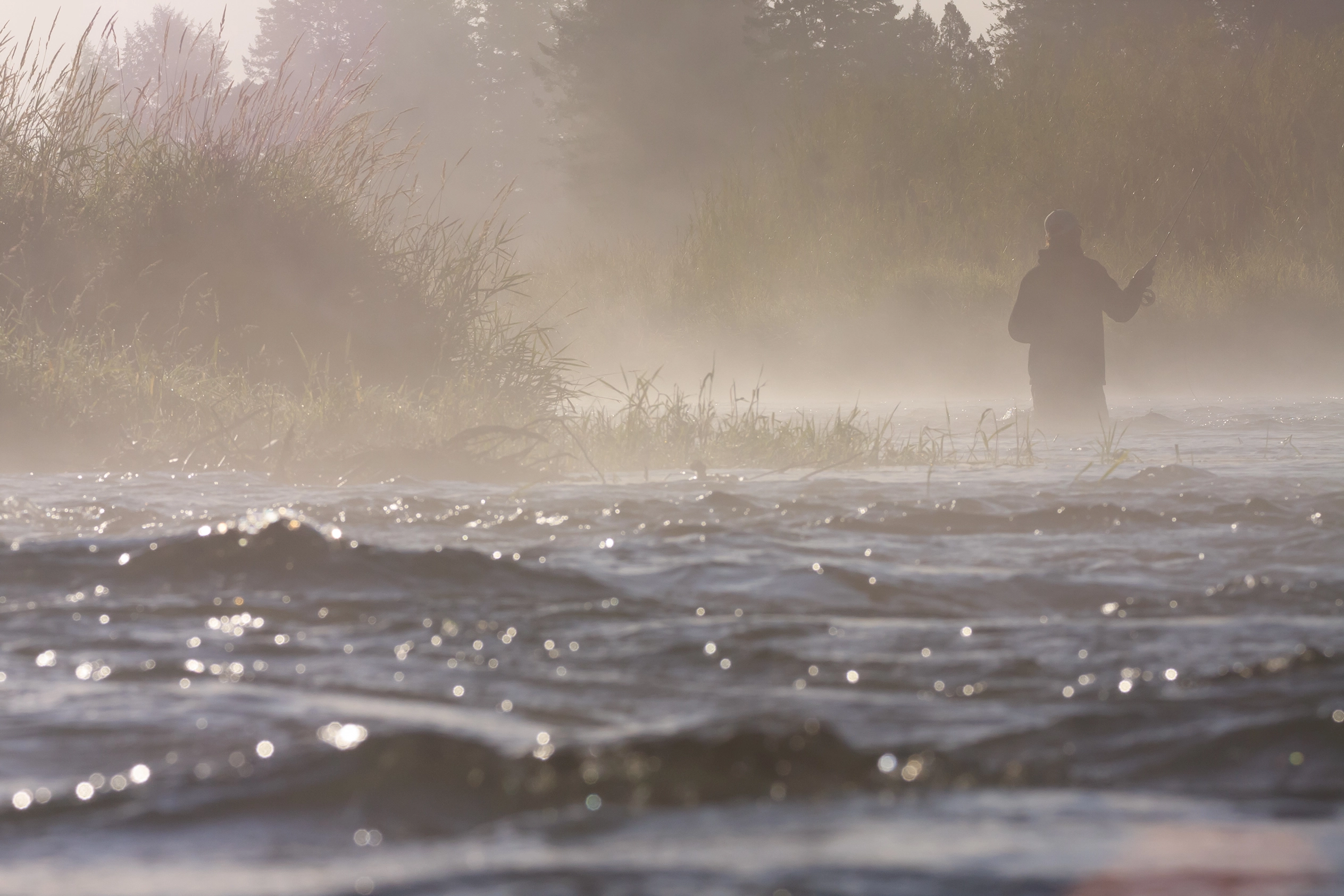 February Fly Fishing in California: Winter Steelhead and Trout Opportunities